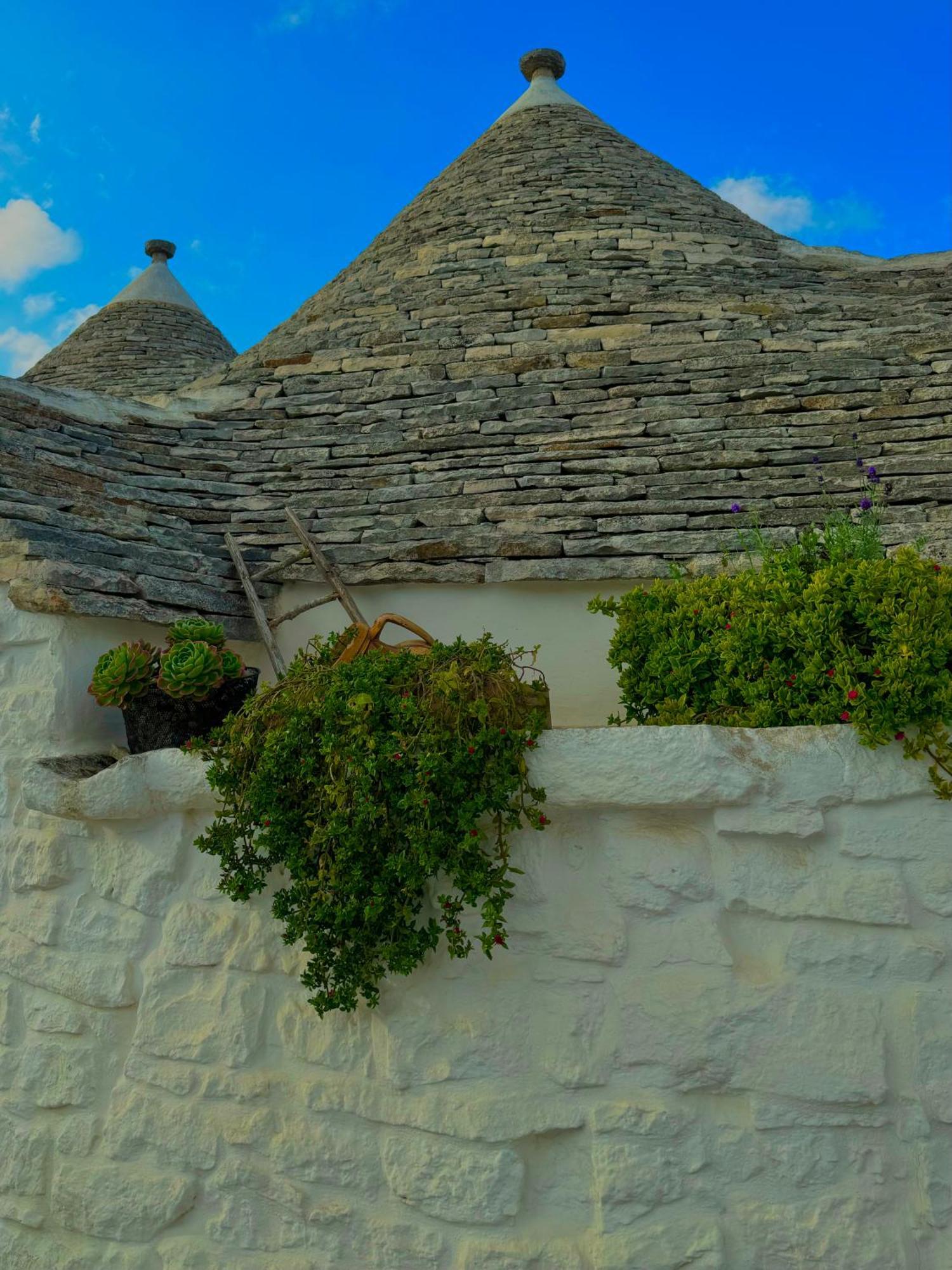 Villa Trullo Galileo Alberobello Esterno foto